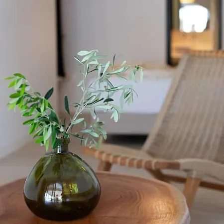 Holiday home Levantes House Mykonos Ano Mera