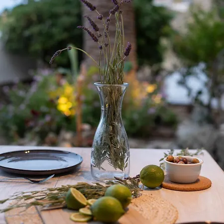 Levantes House Mykonos Casa de Férias *