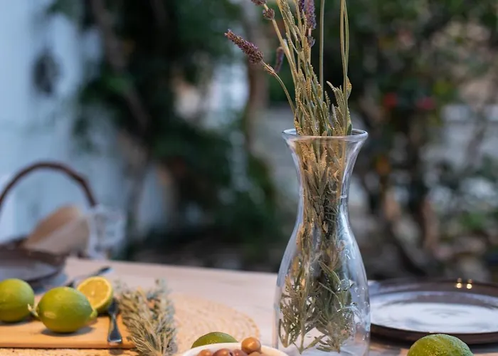 Levantes House Mykonos Casa vacanze