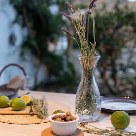 Levantes House Mykonos Дом отдыха